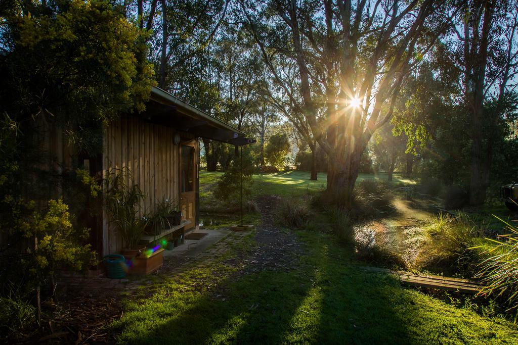 Villa The Burrow At Wombat Bend Dixons Creek Exterior foto
